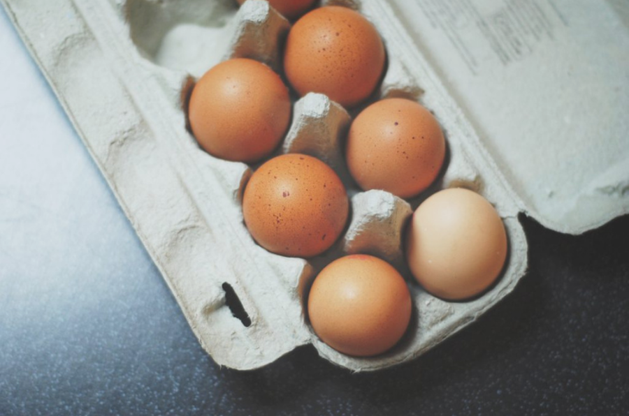 Know Your Egg Farmers: The Real Difference of Homestead Eggs